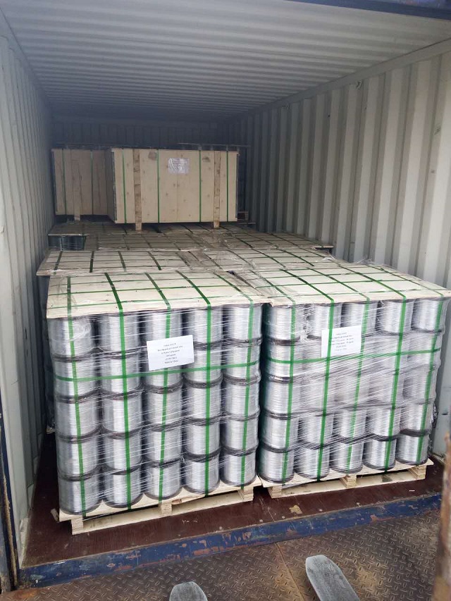 Galvanized Steel Wire